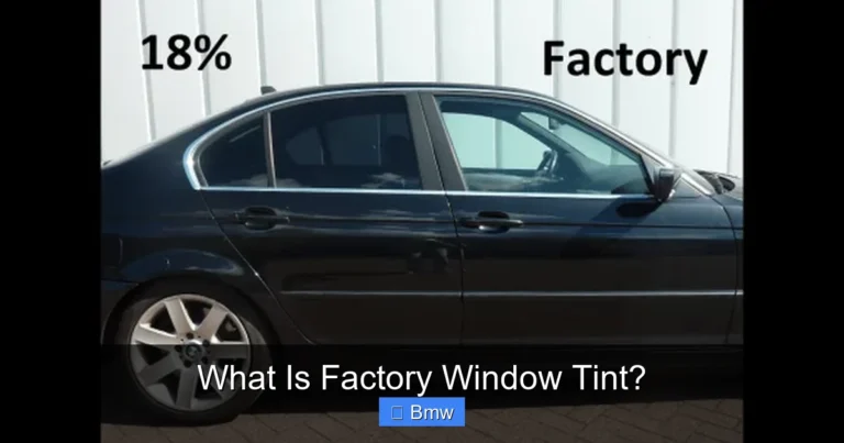 What Is Factory Window Tint?