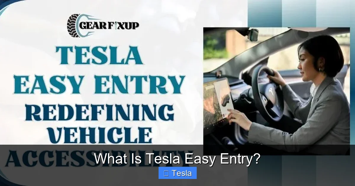What Is Tesla Easy Entry?