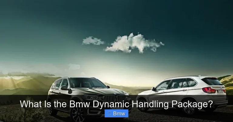 What Is the Bmw Dynamic Handling Package?
