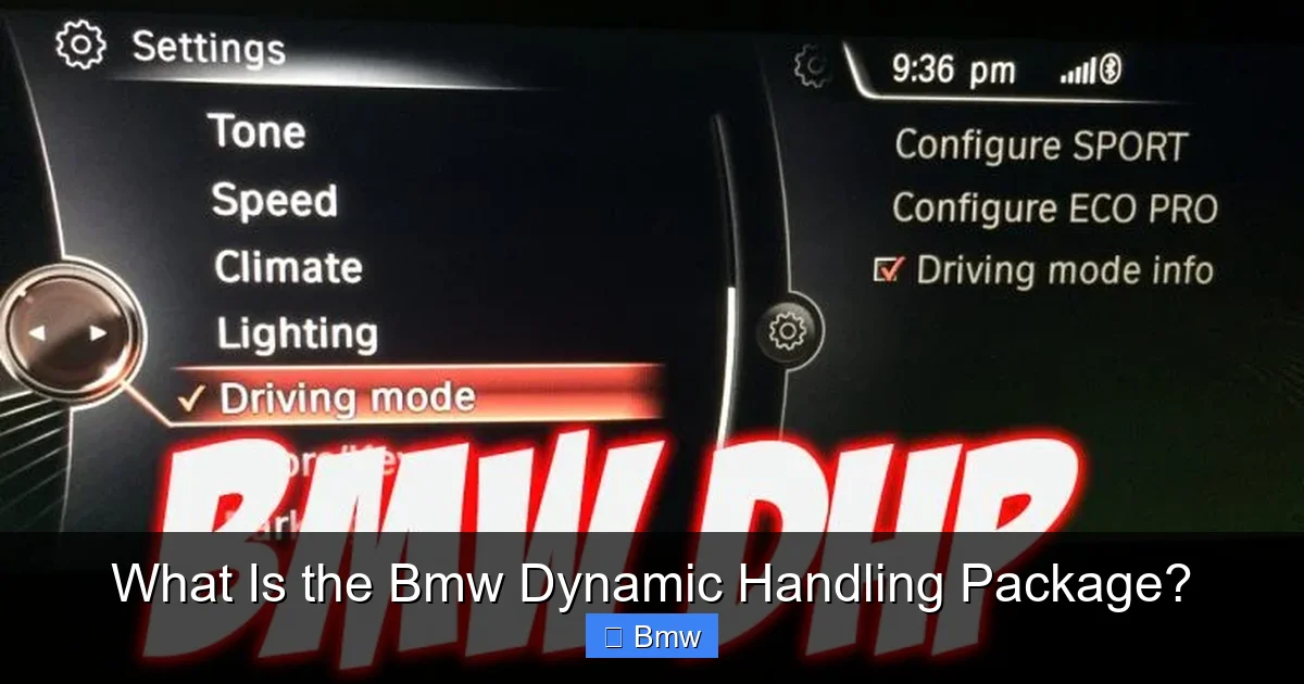 What Is the Bmw Dynamic Handling Package?