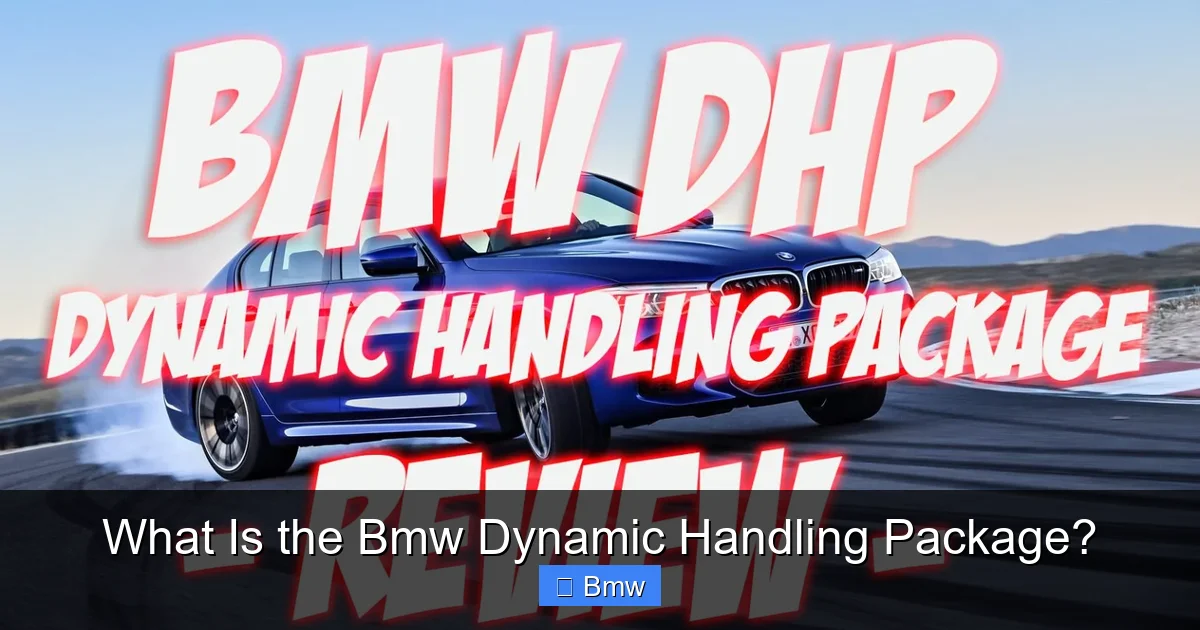 What Is the Bmw Dynamic Handling Package?