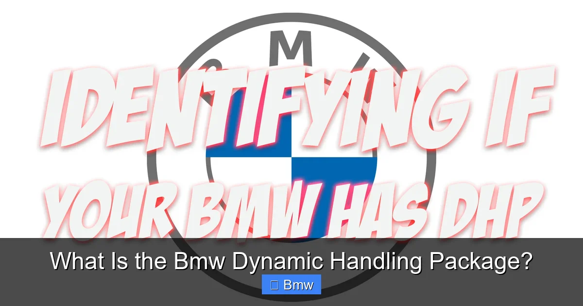 What Is the Bmw Dynamic Handling Package?