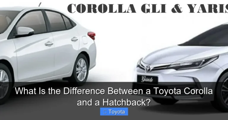 What Is the Difference Between a Toyota Corolla and a Hatchback?