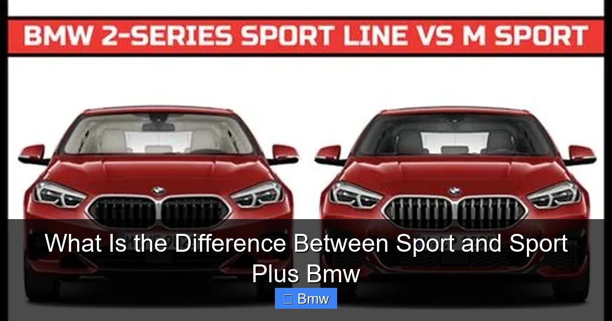 What Is the Difference Between Sport and Sport Plus Bmw