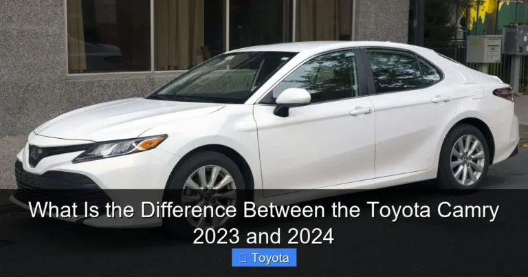 What Is the Difference Between the Toyota Camry 2023 and 2024