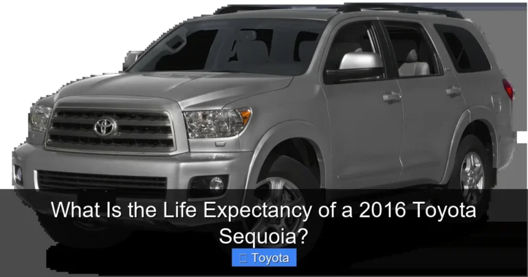 What Is the Life Expectancy of a 2016 Toyota Sequoia?