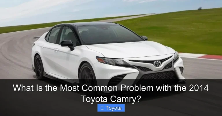 What Is the Most Common Problem with the 2014 Toyota Camry?