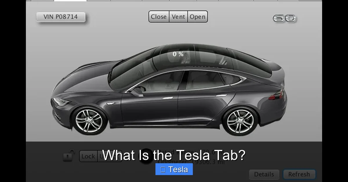 What Is the Tesla Tab?