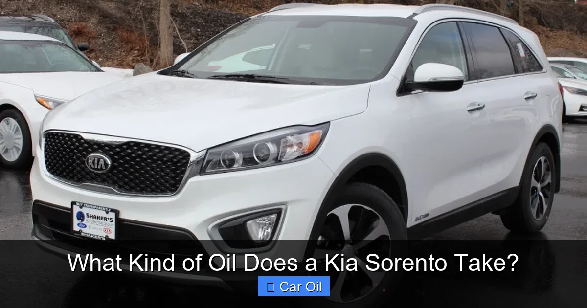 What Kind of Oil Does a Kia Sorento Take?