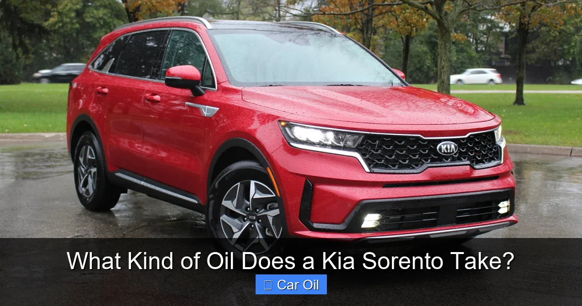 What Kind of Oil Does a Kia Sorento Take?
