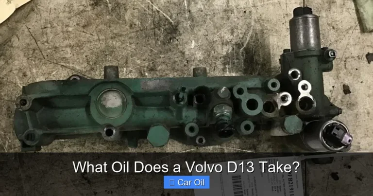 What Oil Does a Volvo D13 Take?