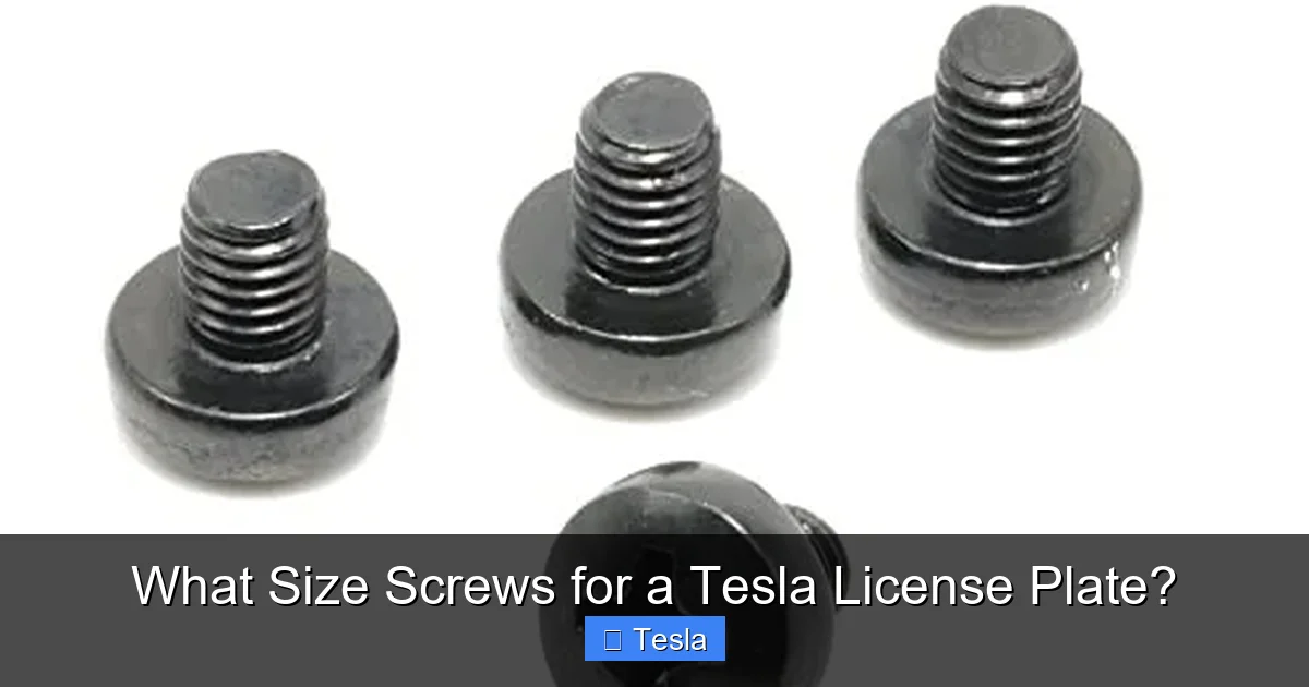 What Size Screws for a Tesla License Plate?