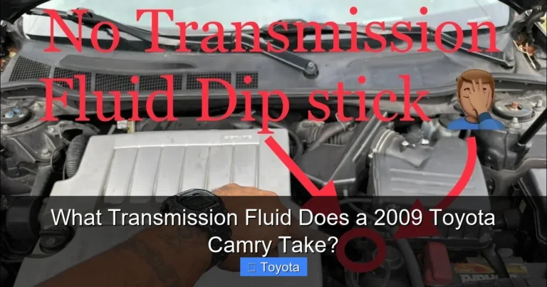 What Transmission Fluid Does a 2009 Toyota Camry Take?