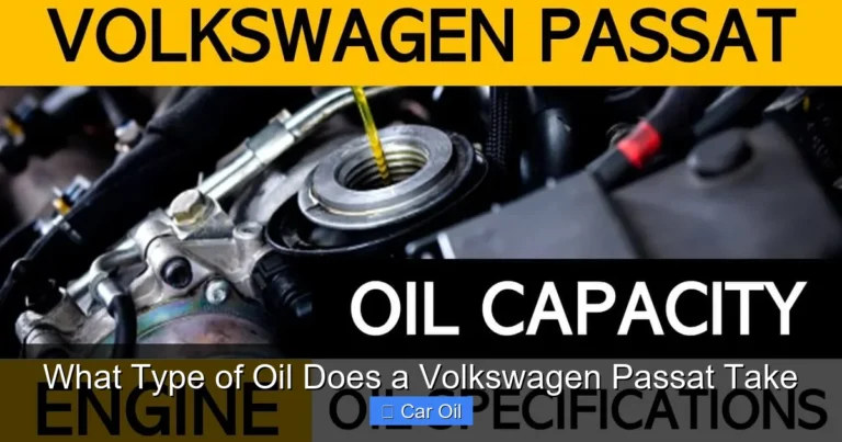 What Type of Oil Does a Volkswagen Passat Take