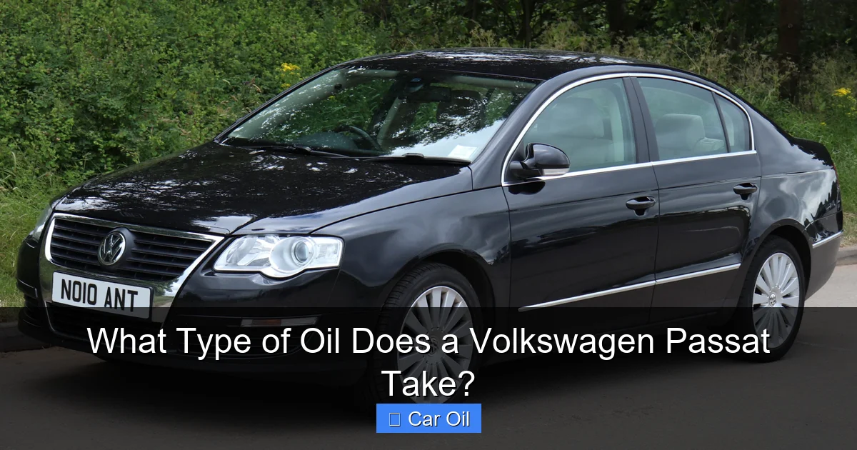 What Type of Oil Does a Volkswagen Passat Take?