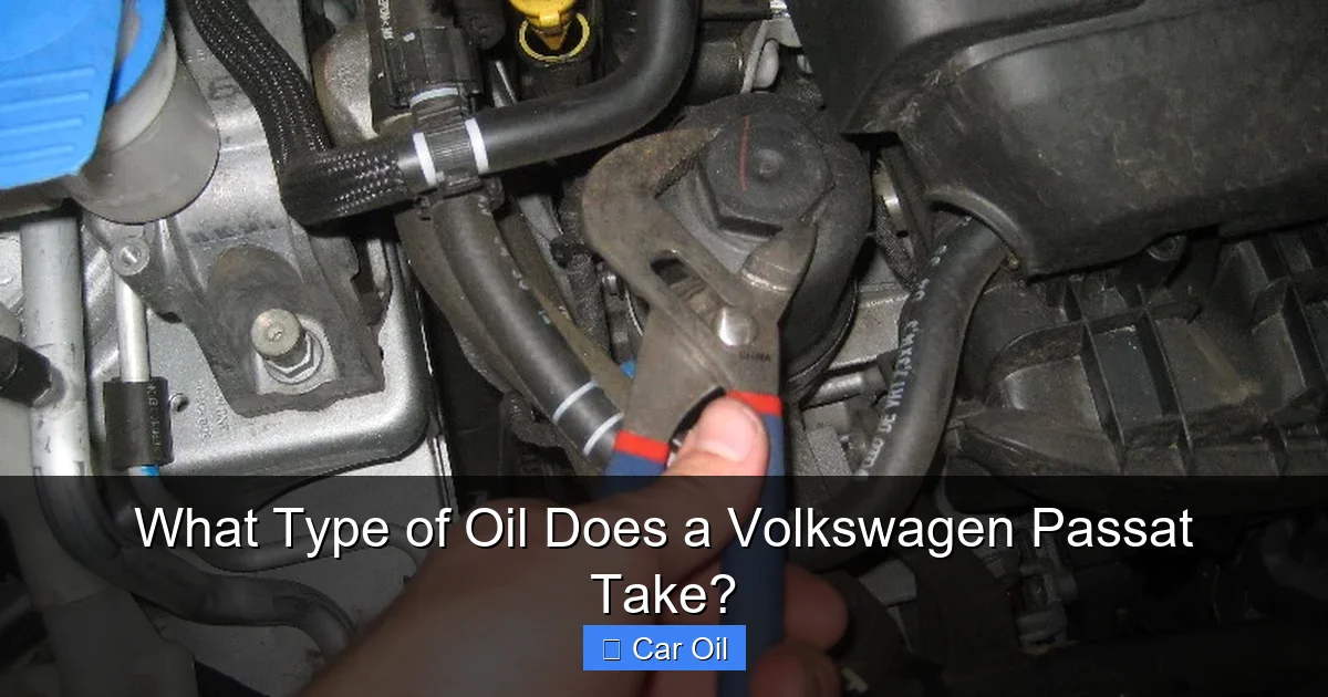 What Type of Oil Does a Volkswagen Passat Take?