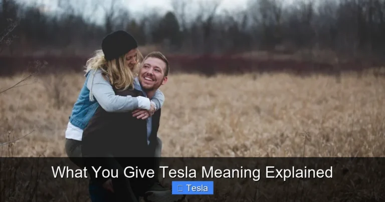 What You Give Tesla Meaning Explained