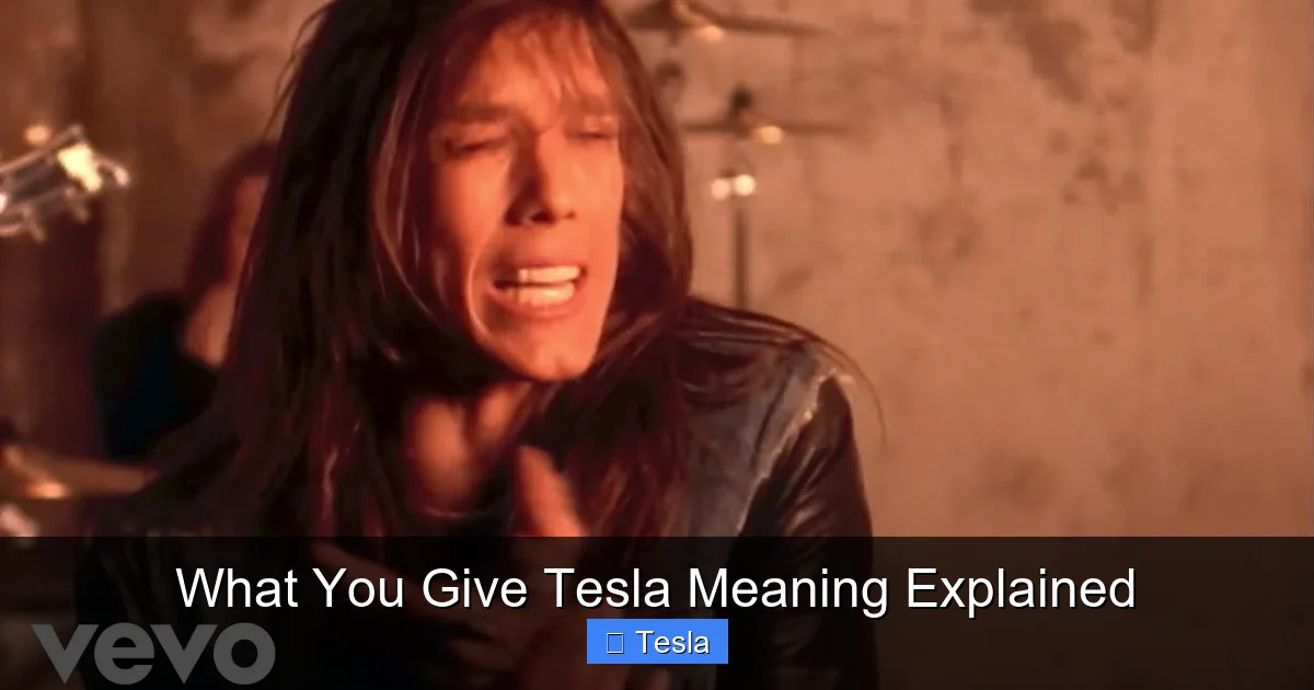 What You Give Tesla Meaning Explained