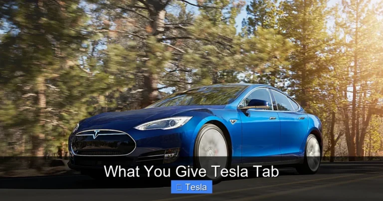 What You Give Tesla Tab