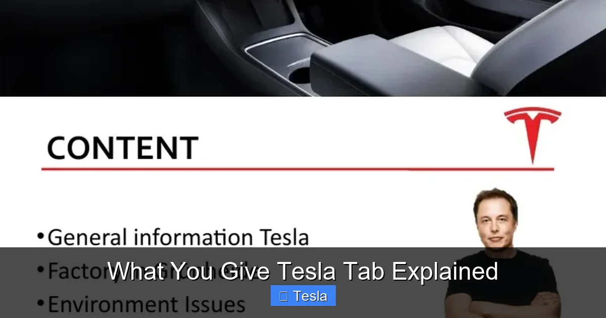 What You Give Tesla Tab Explained