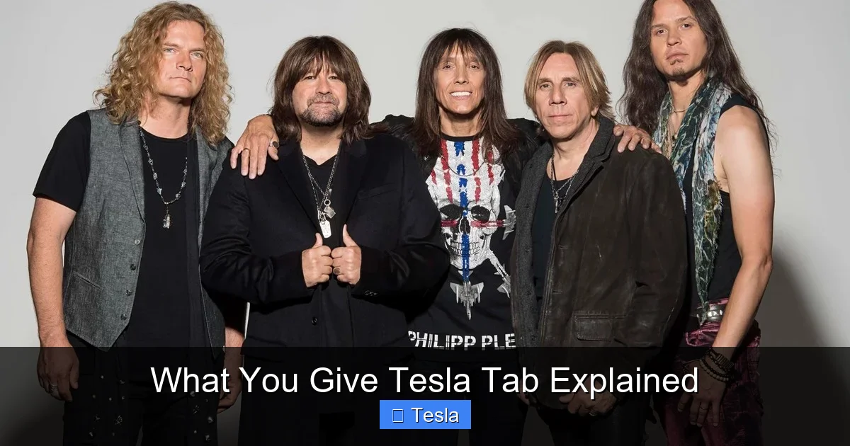 What You Give Tesla Tab Explained