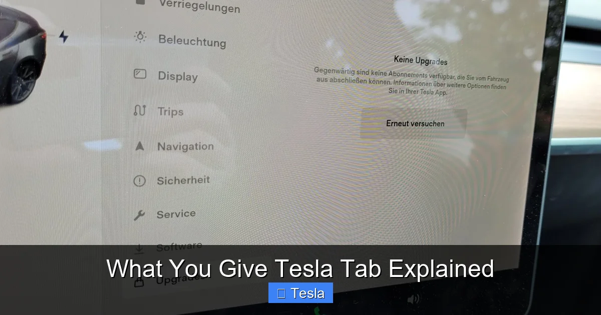What You Give Tesla Tab Explained