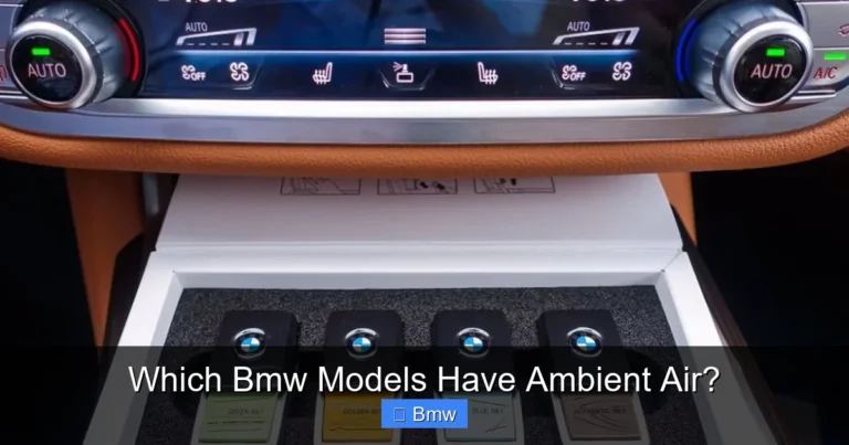 Which Bmw Models Have Ambient Air?