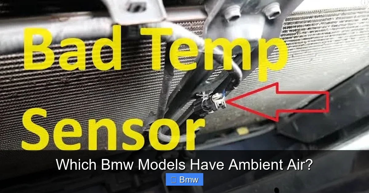 Which Bmw Models Have Ambient Air?