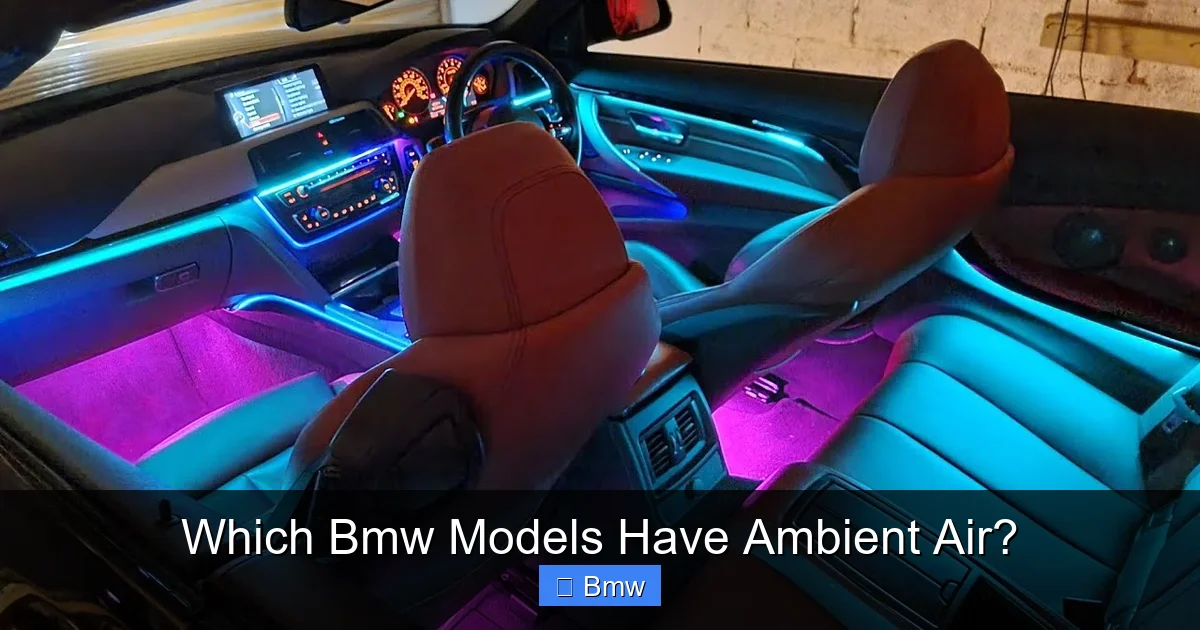 Which Bmw Models Have Ambient Air?