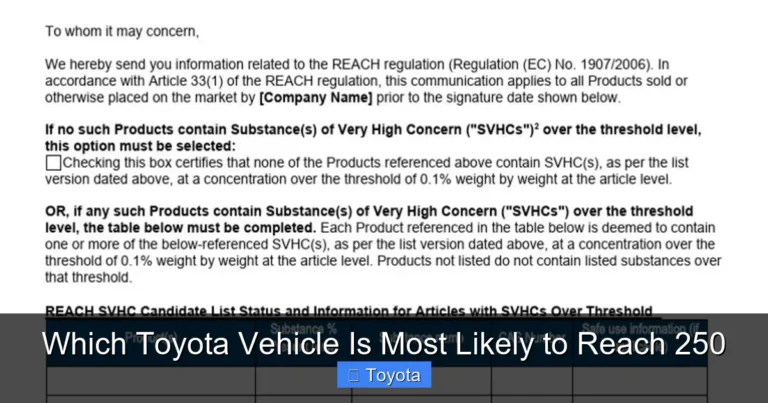 Which Toyota Vehicle Is Most Likely to Reach 250