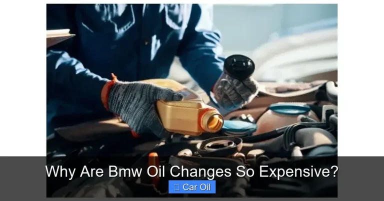 Why Are Bmw Oil Changes So Expensive?