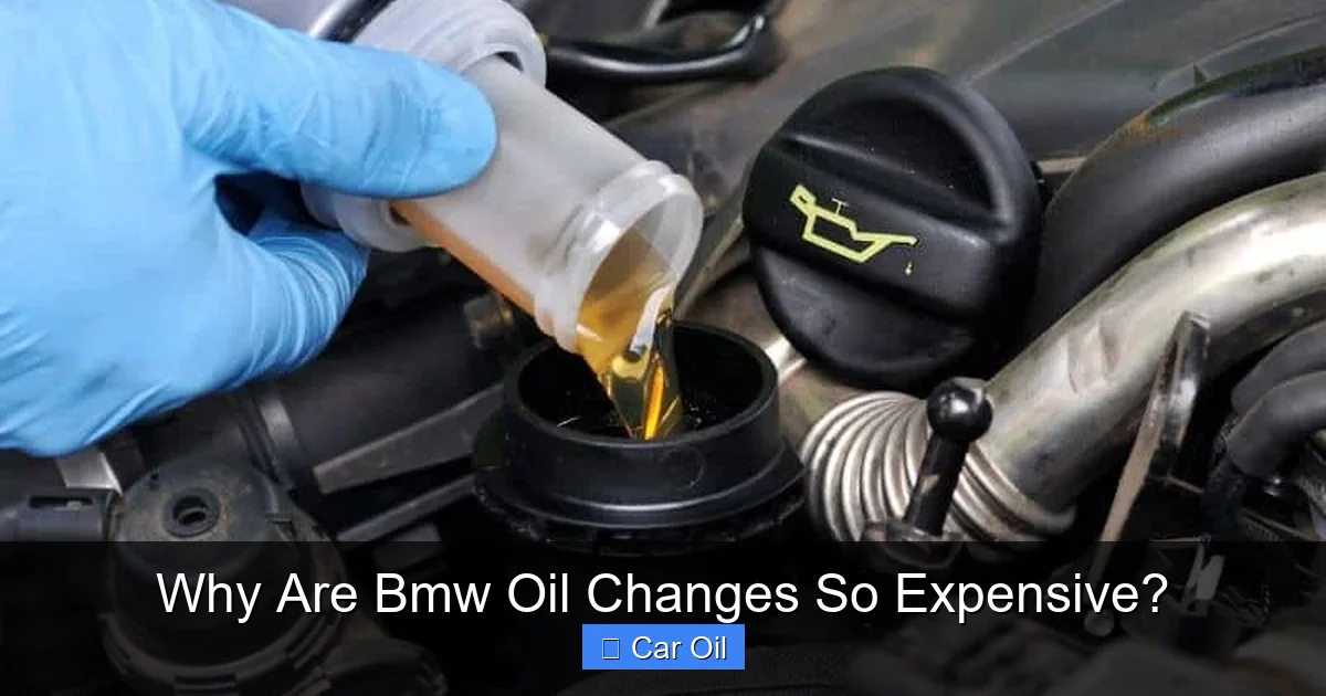 Why Are Bmw Oil Changes So Expensive?