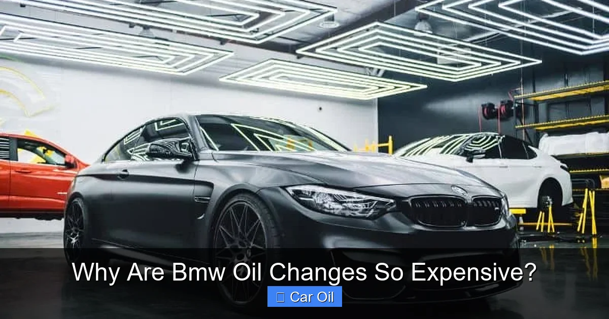 Why Are Bmw Oil Changes So Expensive?