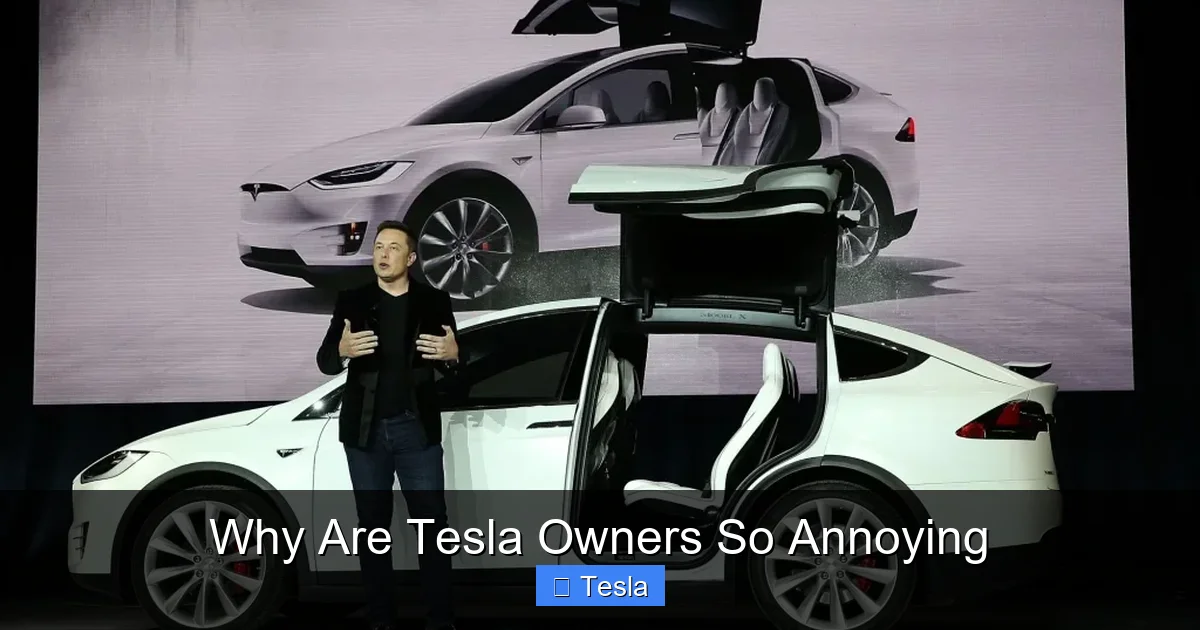 Why Are Tesla Owners So Annoying
