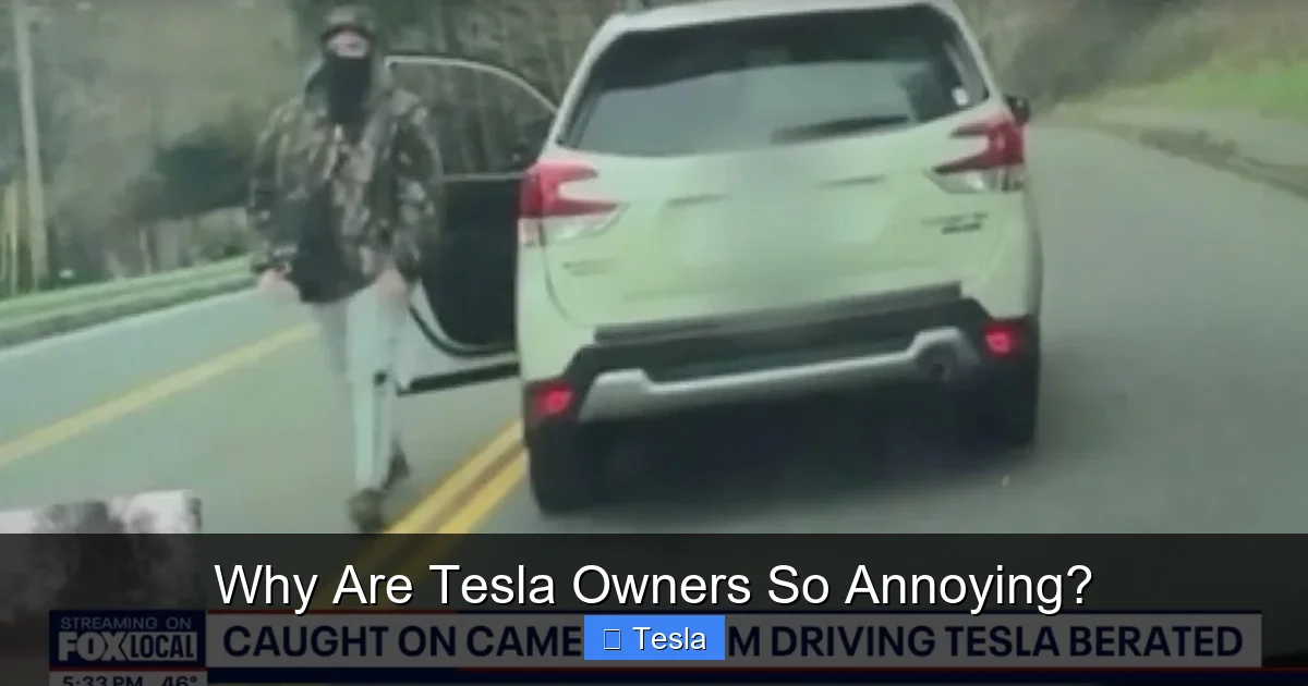 Why Are Tesla Owners So Annoying?