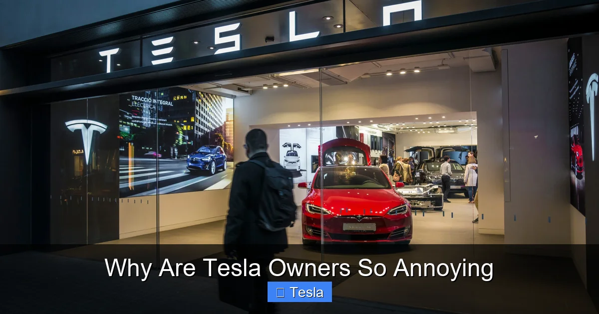 Why Are Tesla Owners So Annoying