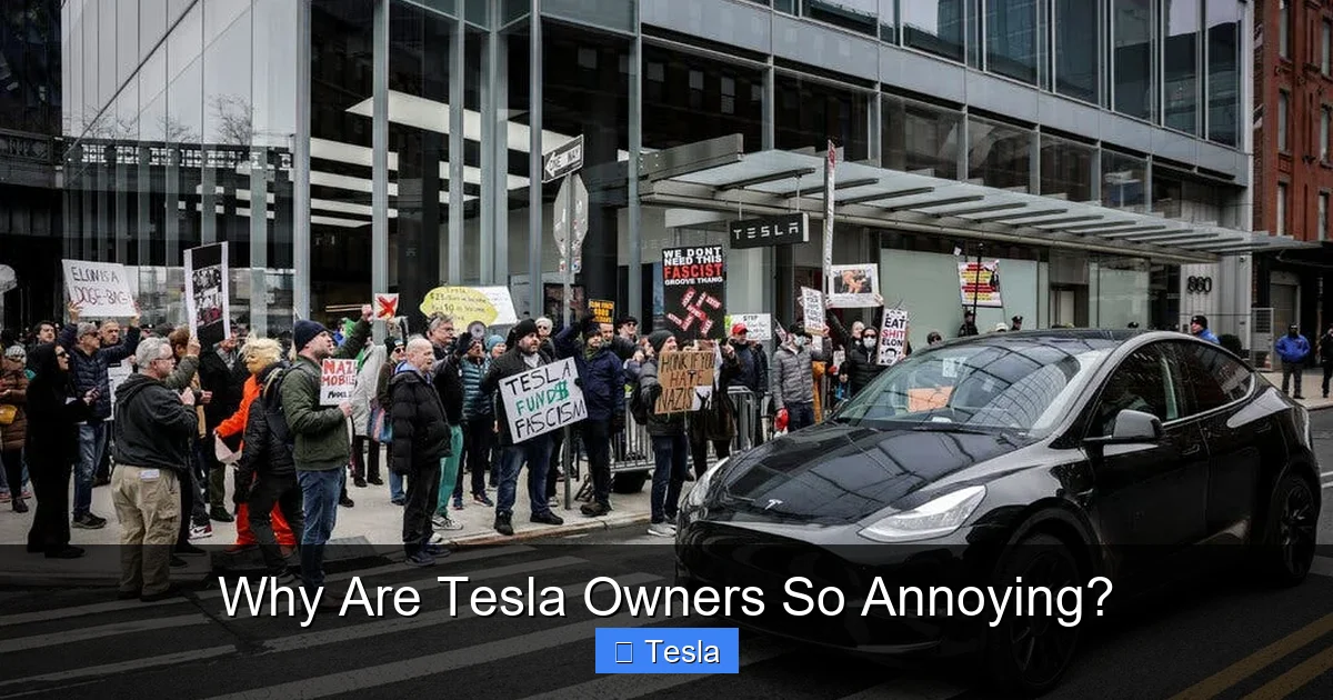 Why Are Tesla Owners So Annoying?