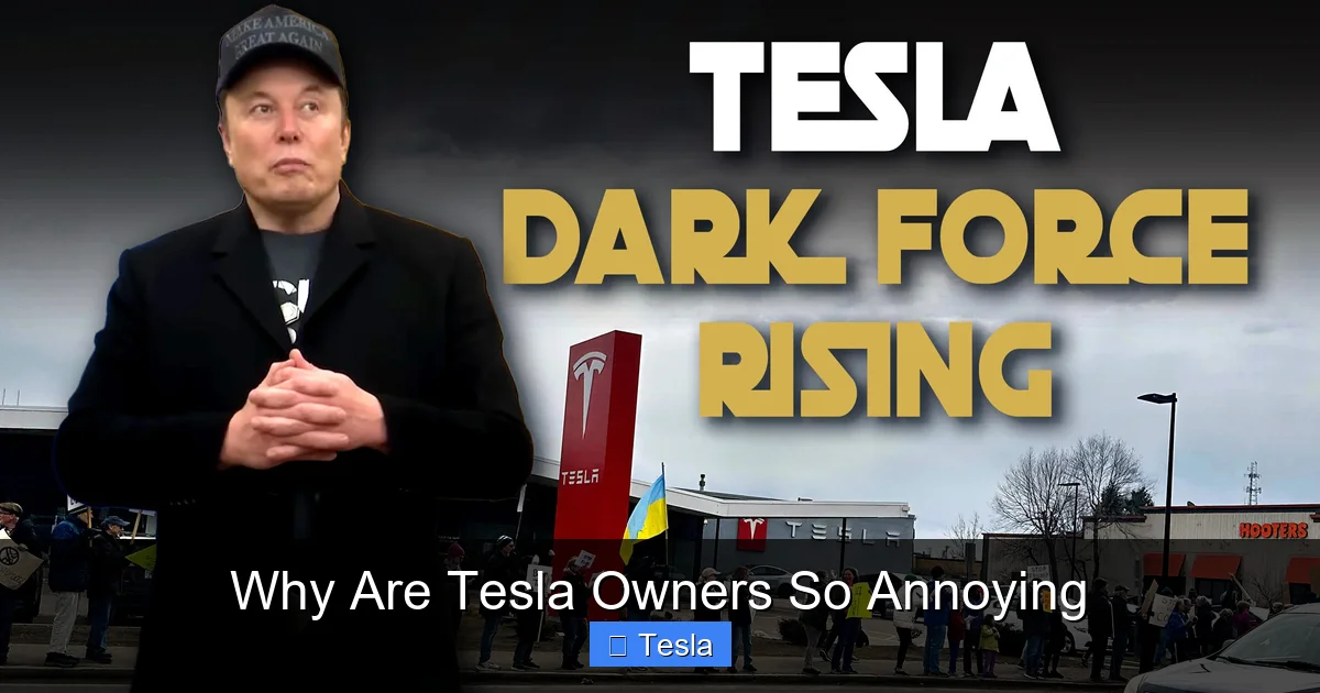 Why Are Tesla Owners So Annoying