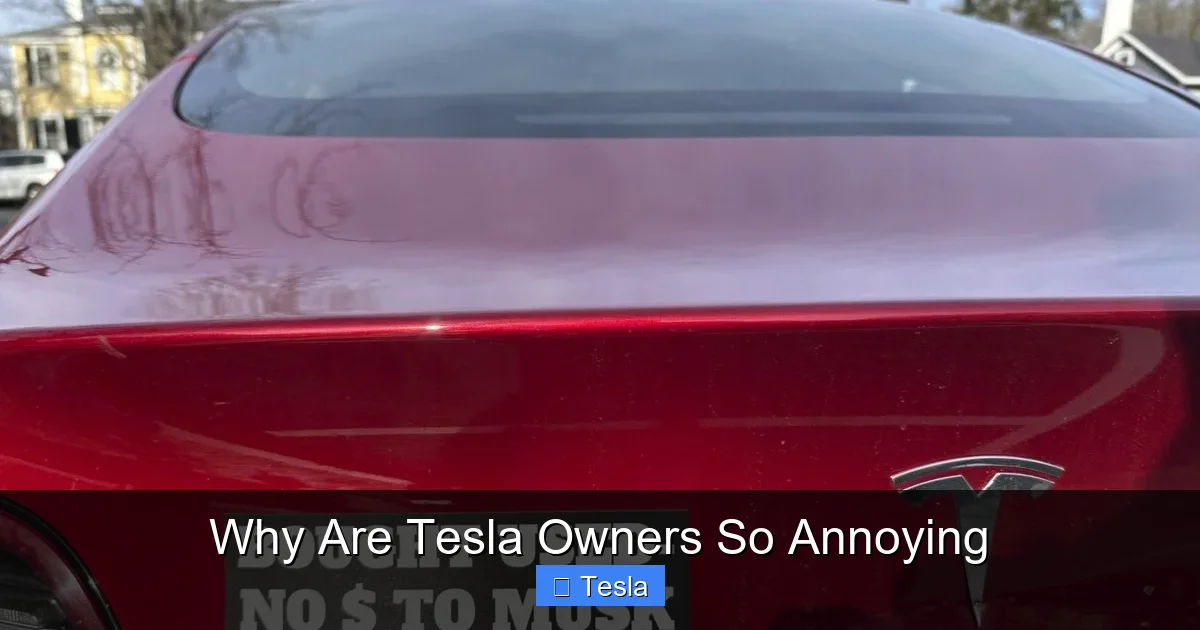 Why Are Tesla Owners So Annoying