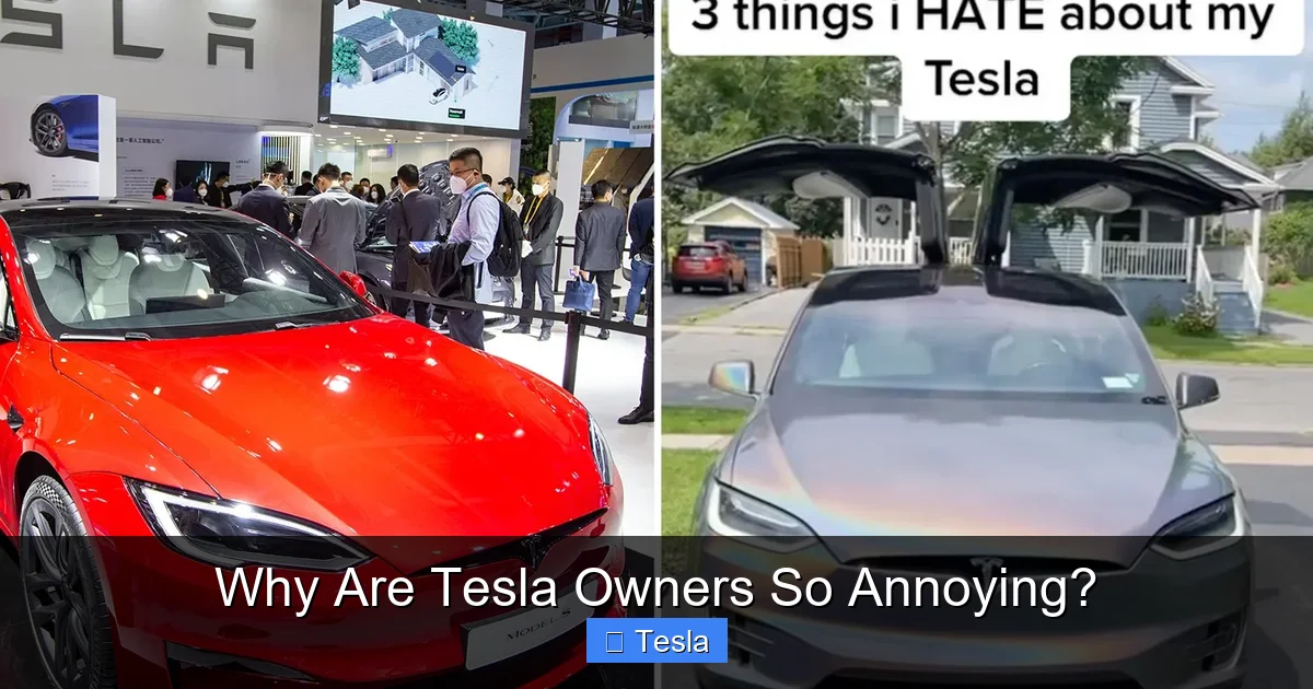 Why Are Tesla Owners So Annoying?