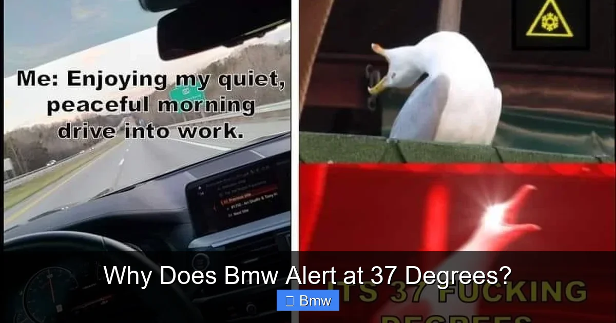 Why Does Bmw Alert at 37 Degrees?