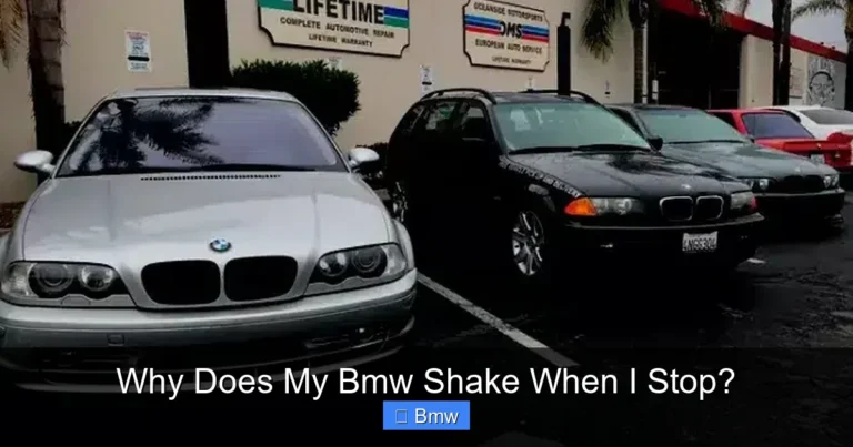 Why Does My Bmw Shake When I Stop?