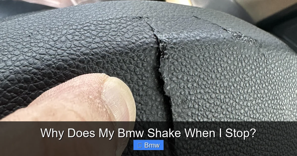 Why Does My Bmw Shake When I Stop?