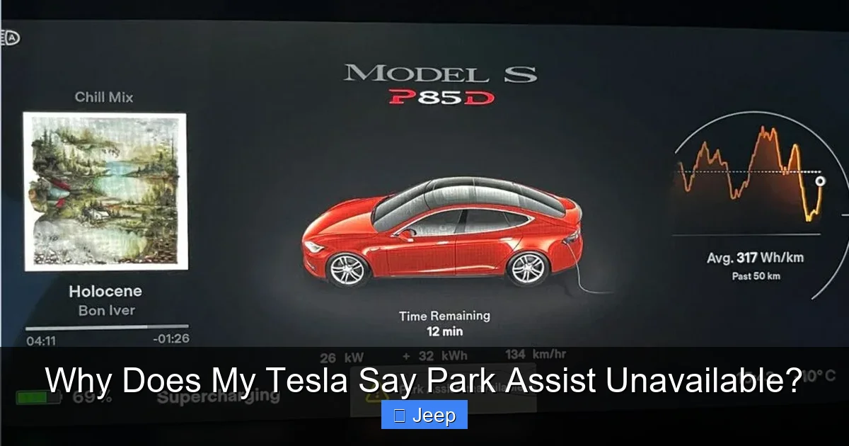 Why Does My Tesla Say Park Assist Unavailable?