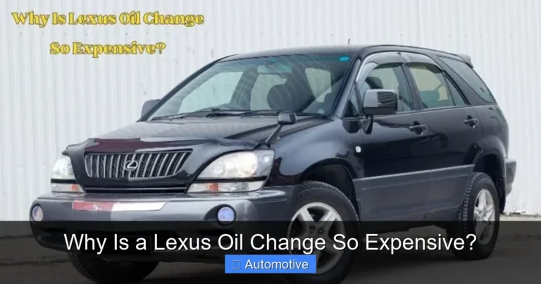 Why Is a Lexus Oil Change So Expensive?