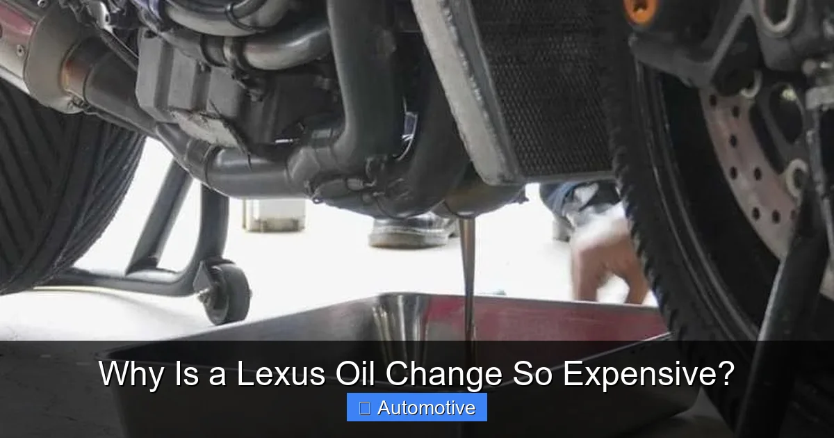 Why Is a Lexus Oil Change So Expensive?