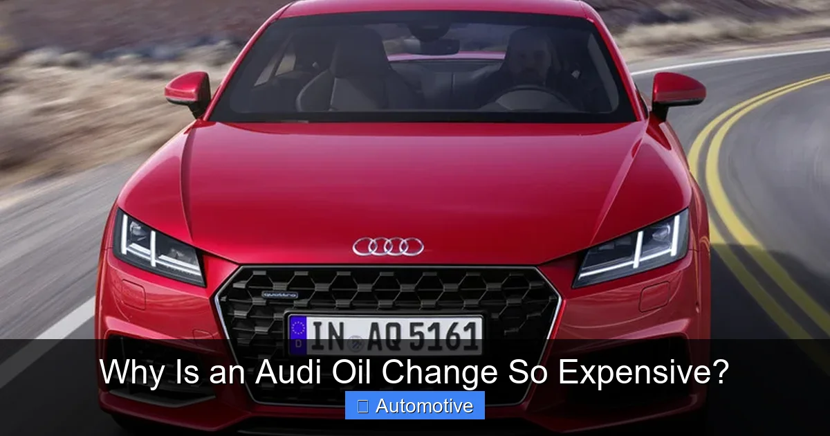 Why Is an Audi Oil Change So Expensive?