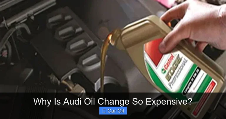 Why Is Audi Oil Change So Expensive?