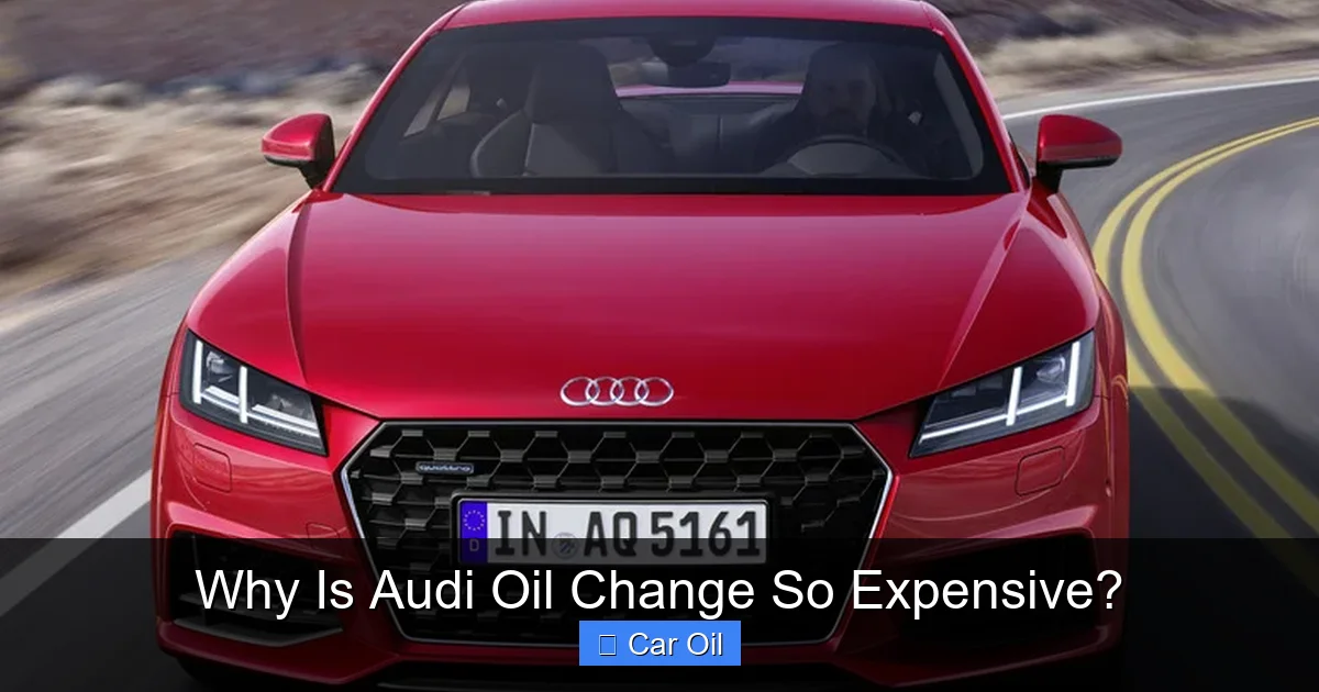 Why Is Audi Oil Change So Expensive?