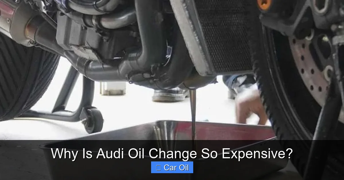 Why Is Audi Oil Change So Expensive?